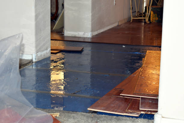 Professional Burst Pipe Cleanup technician working in Alledonia, OH