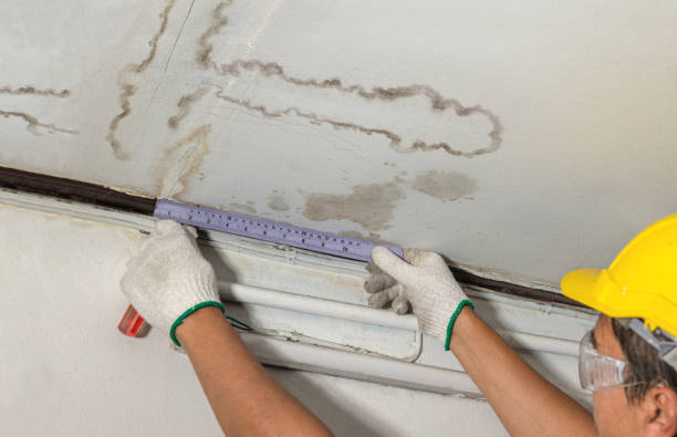 Reliable Burst Pipe Cleanup contractor in Alledonia, OH by Water Damage Irwin